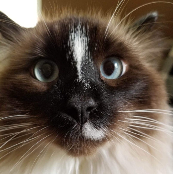 Meet your Posher, Dani - Picture 1 of 1